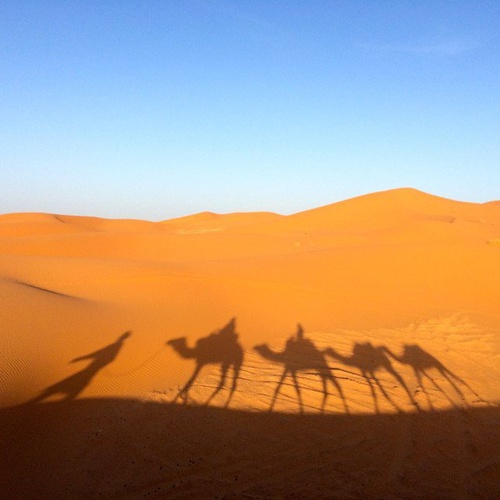 جمع التراث فندق اريبيان كورتيارد فندق وسبا بر دبي جمع التراث فندق اريبيان كورتيارد فندق وسبا بر دبي